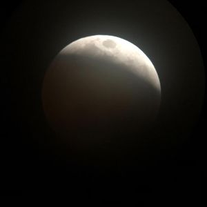 Meet your Posher, Tegan